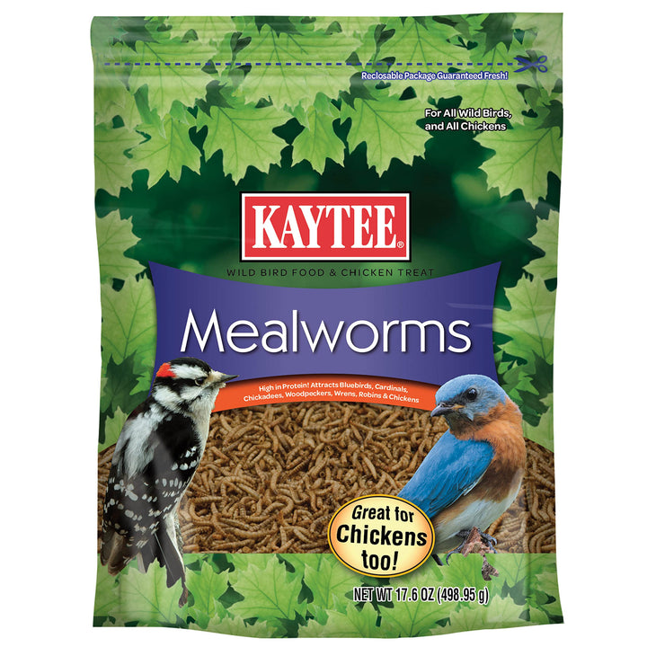 Wild Bird Food Mealworms For Bluebirds, Wrens, Robins, Chickadees, Woodpeckers, Cardinals & Chickens, 17.6 Ounce