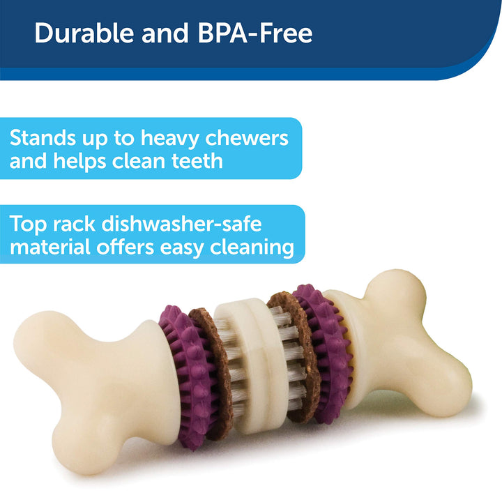 Busy Buddy Bristle Bone - Treat-Holding Toy for Dogs - Treat Rings Included - Treats Thoroughly Mixed During Bake to Prevent Choking - Rigorously Tested Ingredients - Purple, Small