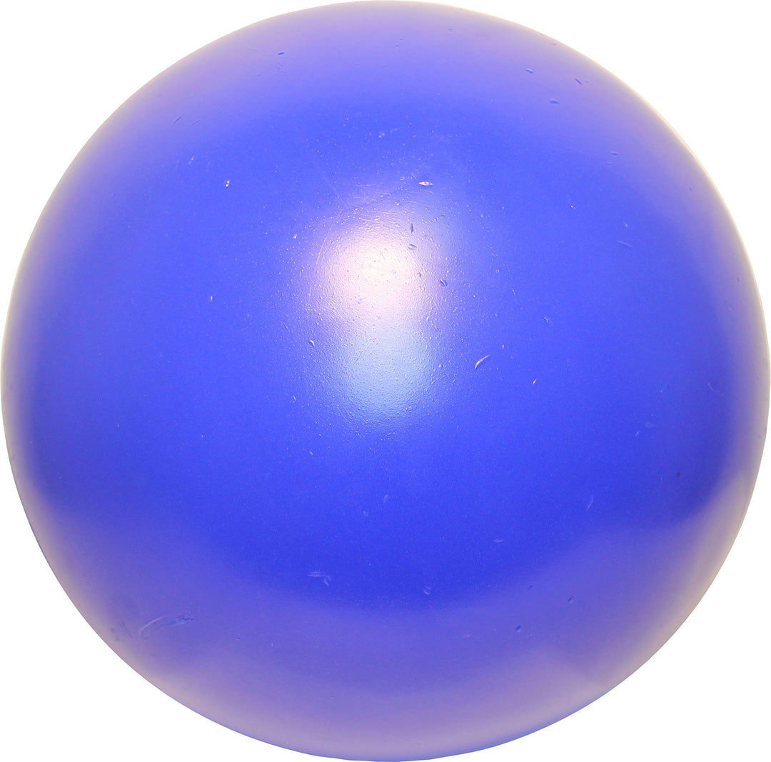 Jolly Pets Push-n-Play Ball Dog Toy, 14 Inches/Extra-Large, Blue (314 BL), for All Breed Sizes