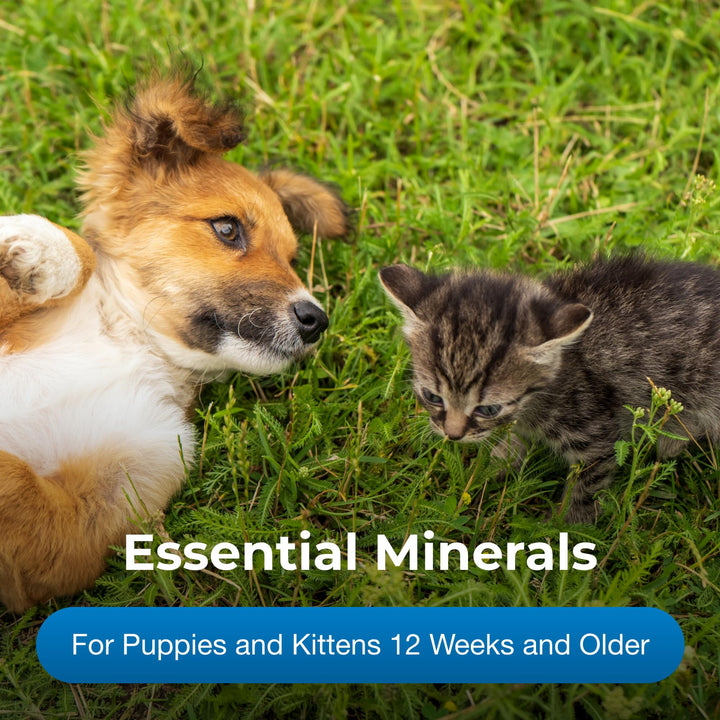 ® Calcium Phosphorus Tablets for Cats & Dogs, 50ct
