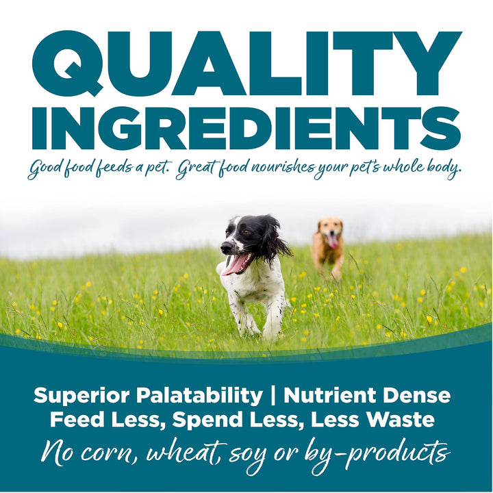 Adult Dog Food, Made with Chicken and Rice, with Wholesome Grains, 15LB, Dry Dog Food
