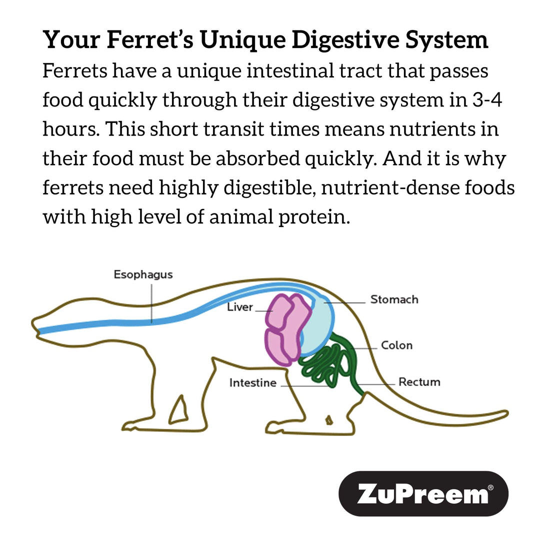 Premium Daily Ferret Food, 8 lb - Made in USA, Complete Nutrition Diet, Highly Digestible, No Corn