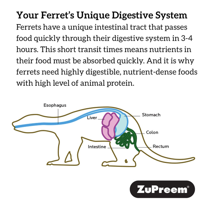 Premium Daily Ferret Food, 8 lb - Made in USA, Complete Nutrition Diet, Highly Digestible, No Corn