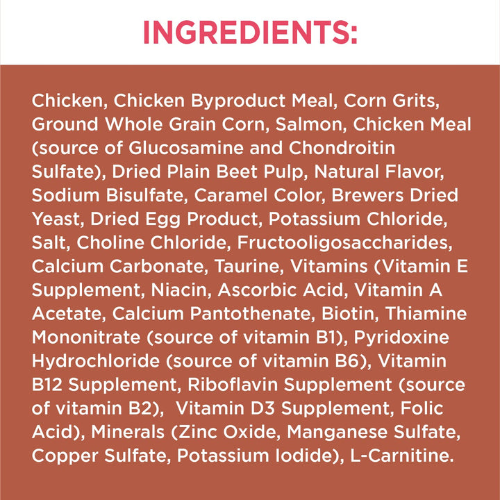 IAMS PROACTIVE HEALTH High Protein Adult Dry Cat Food with Chicken & Salmon Cat Kibble, 6 lb. Bag