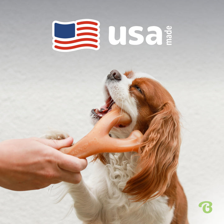 Wishbone Durable Dog Chew Toy for Aggressive Chewers, Real Peanut, Made in USA, Small, for Any breed