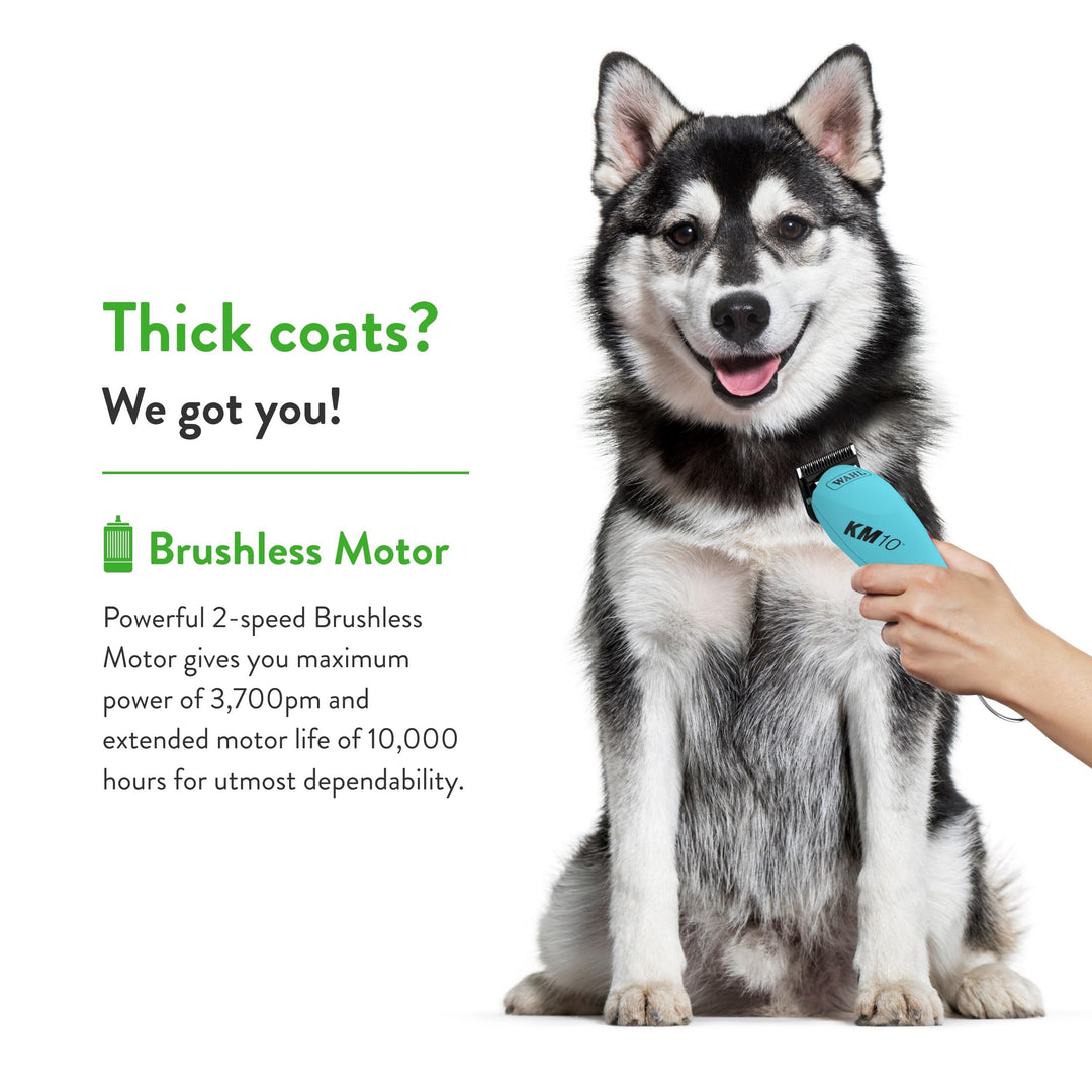 Professional Animal KM10 2-Speed Brushless Motor Pet, Dog, and Horse Clipper Kit - Turquoise