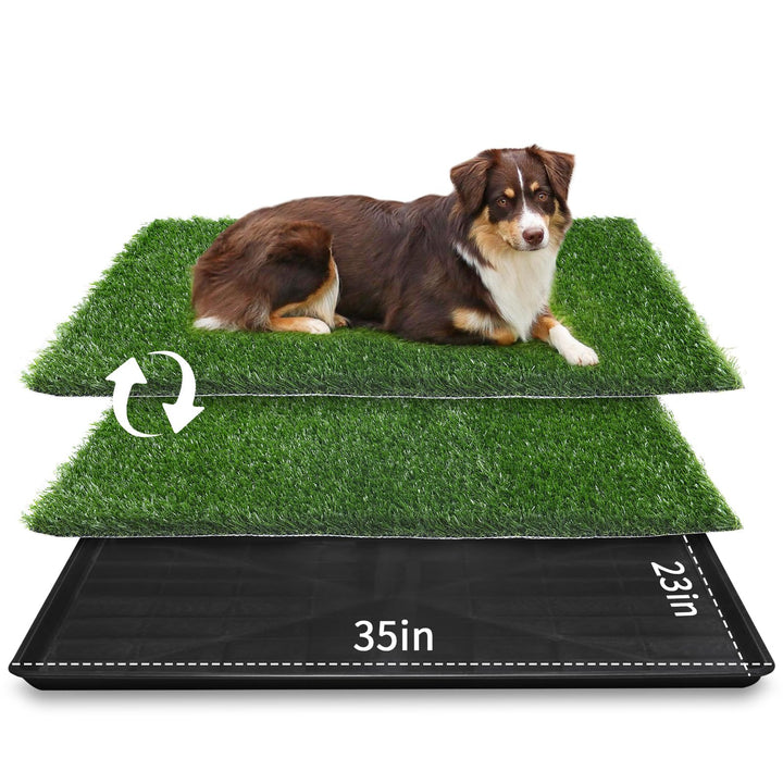 Large Dog Grass Pad with Tray - 35x23in Dog Litter Box with 2-Pack Replacement Artificial Grass Puppy Training Pads - Potty Tray for Balcony Apartment Indoor Outdoor Use