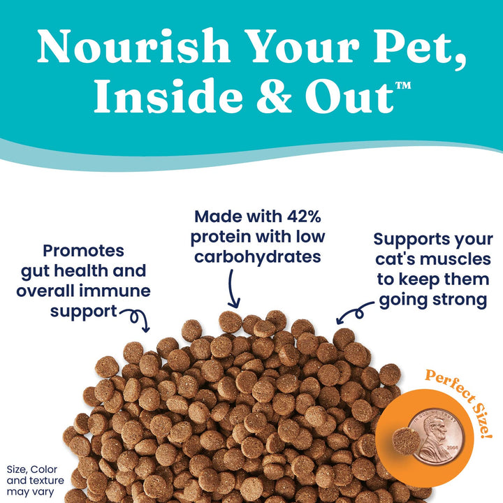 High Protein Dry Cat Food - Indigo Moon Made with Digestive Probiotics for Cats - Grain & Gluten Free with High Fiber & Omega 3 - Low Carb Superfood Meal - Chicken - 3lb
