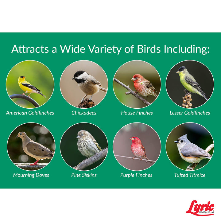 Nyjer Seed Wild Bird Seed Finch Food - Attracts Goldfinches, House Finches & Purple Finches -10 lb Bag