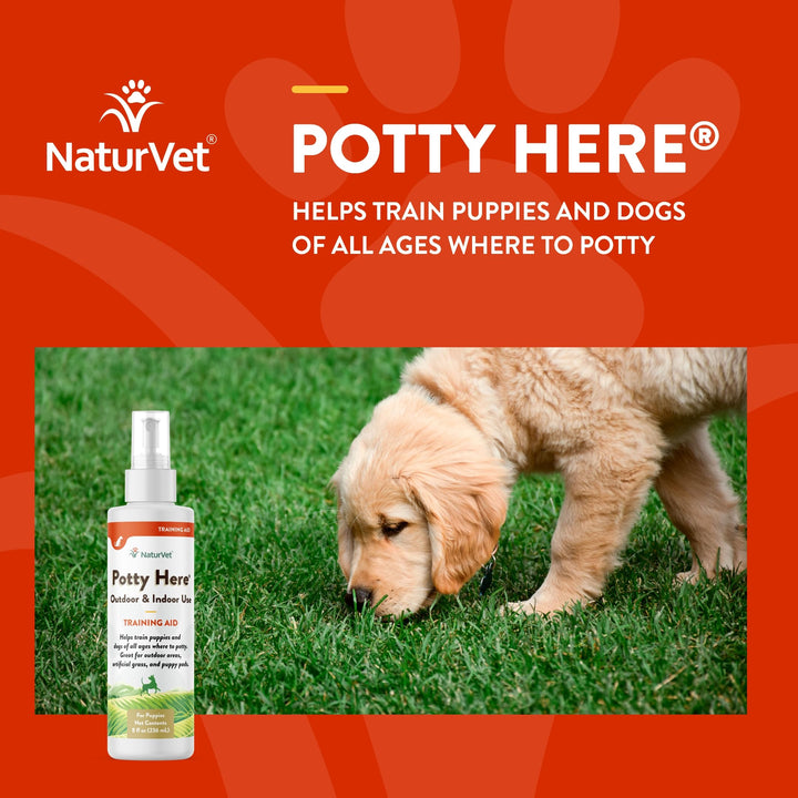 – Potty Here Training Aid Spray | Attractive Scent Helps Train Puppies & Dogs Where to Potty | Formulated for Indoor & Outdoor Use | 8 oz
