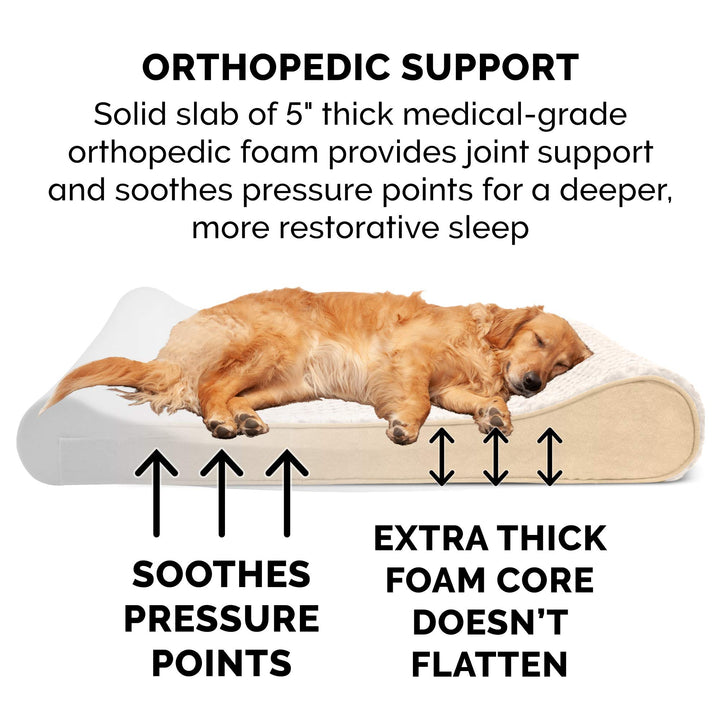 Orthopedic Dog Bed for Large Dogs w/ Removable Washable Cover, For Dogs Up to 75 lbs - Ultra Plush Faux Fur & Suede Luxe Lounger Contour Mattress - Cream, Jumbo/XL