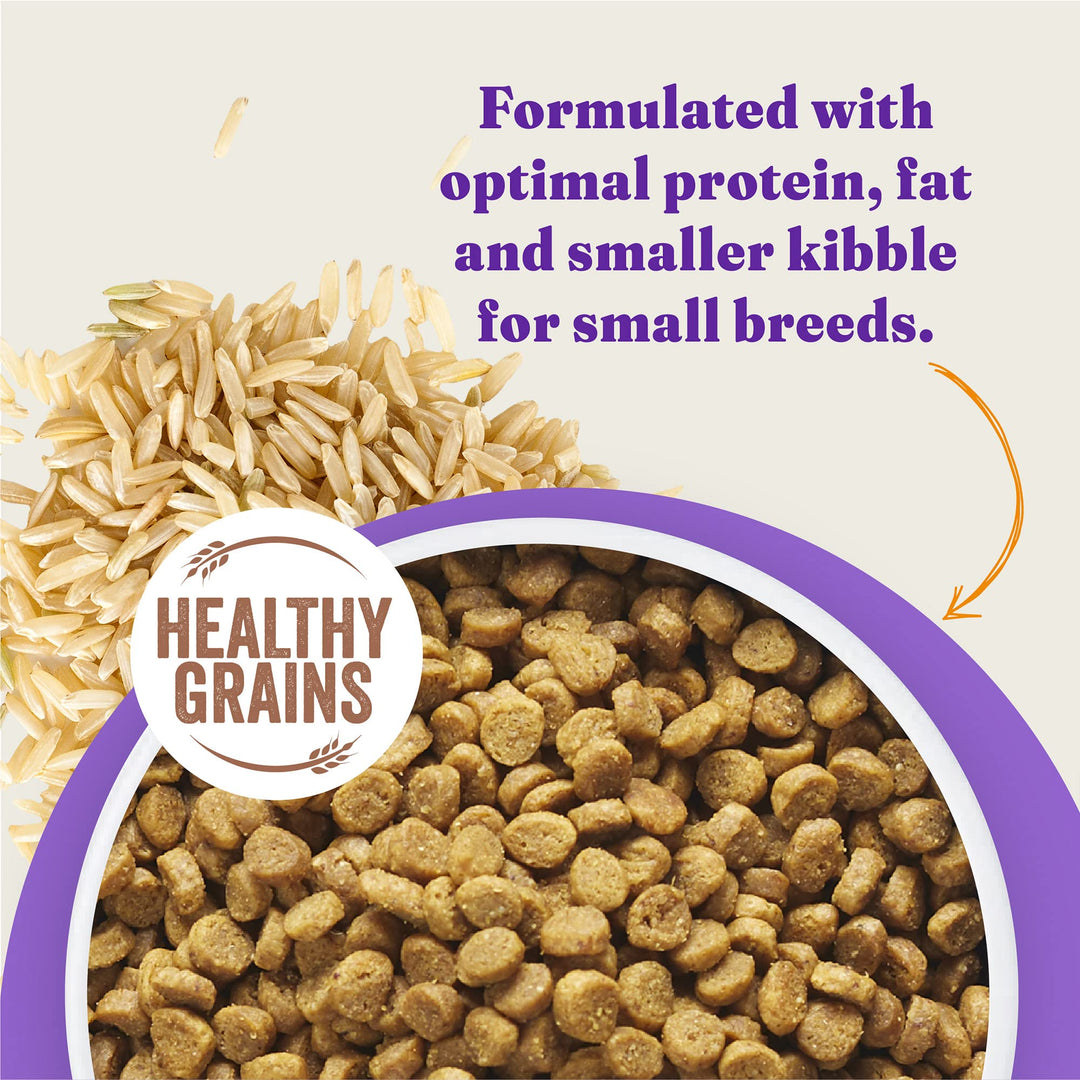 Holistic Small Breed Dog Food, Cage Free Chicken & Brown Rice Recipe, Healthy Grains Dry Dog Food, Complete Digestive Health, 10 lb Bag