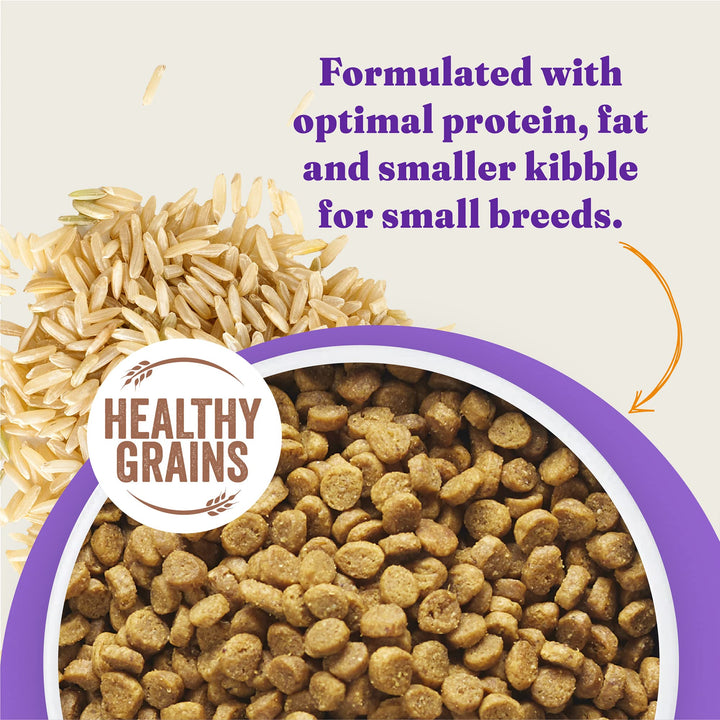 Holistic Small Breed Dog Food, Cage Free Chicken & Brown Rice Recipe, Healthy Grains Dry Dog Food, Complete Digestive Health, 10 lb Bag