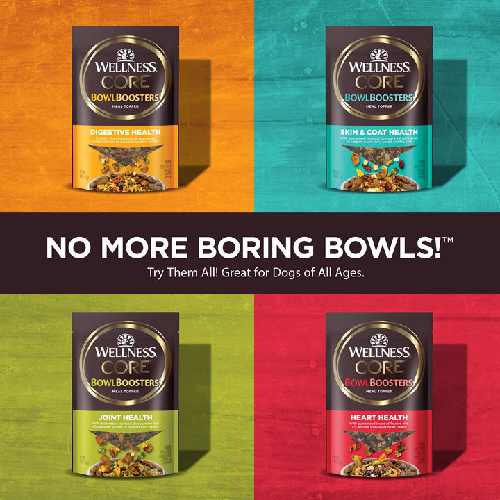 CORE Natural Grain Free Bowl Boosters Tender Dog Food Mixer Or Topper (Turkey & Chicken Recipe, 2-Pound Bag)