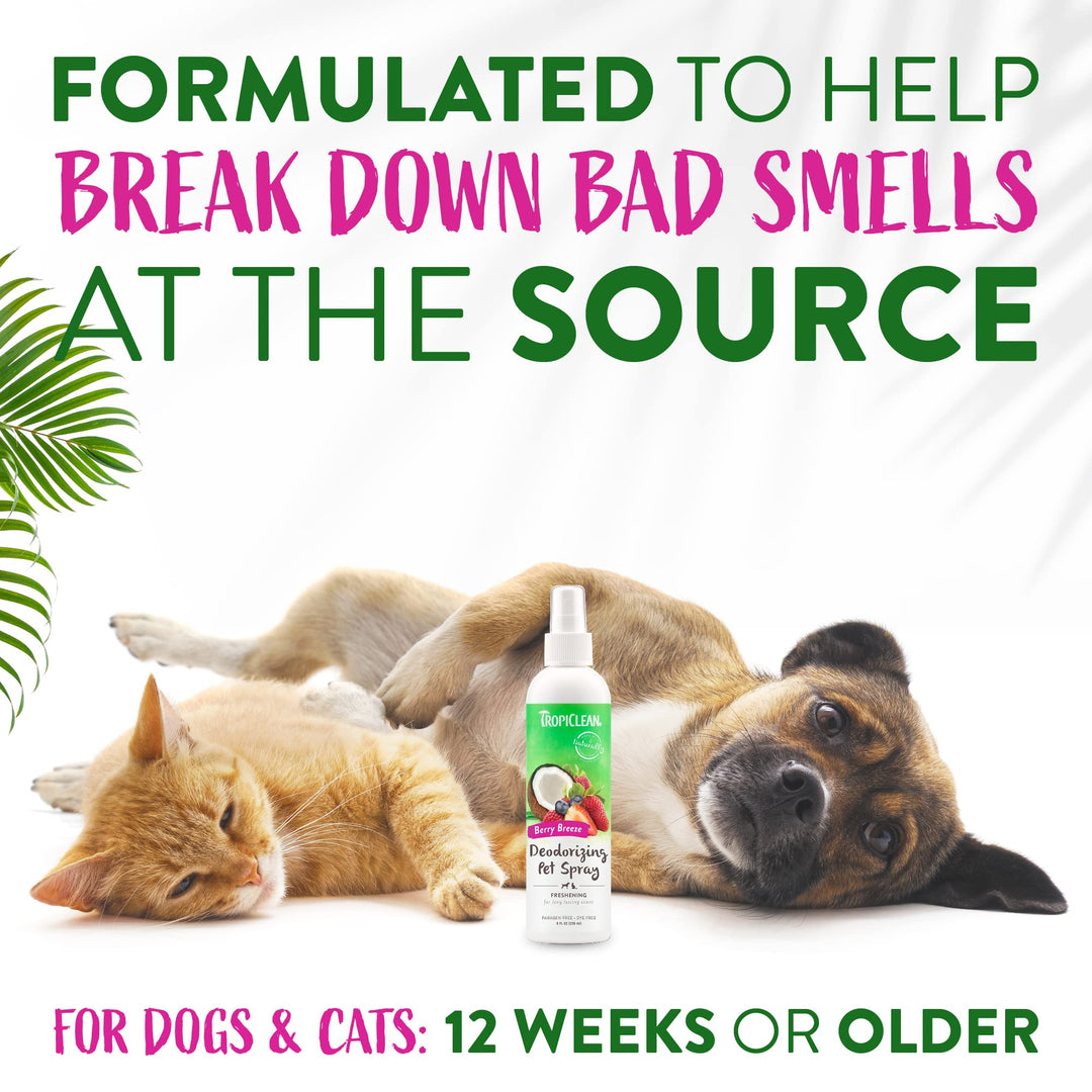 Dog Perfume, Long Lasting Berry Cologne, Deodorizing Spray for Smelly Dogs, After Bath Detangling Spray with Vitamin E, Safe for Cats, 8oz.