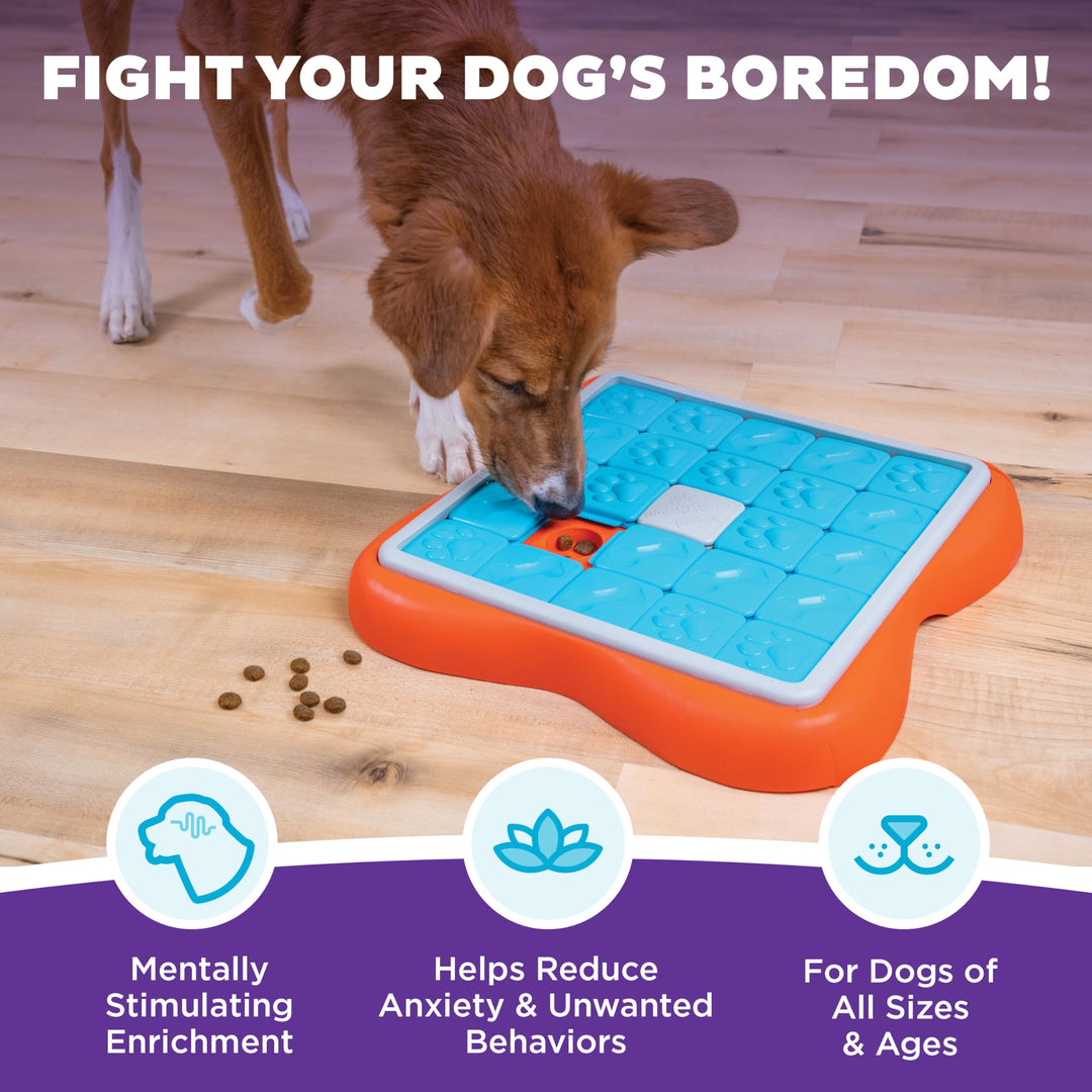 by Nina Ottosson Challenge Slider Treat Puzzle Enrichment Toy, Level 3 Advanced, Multicolored