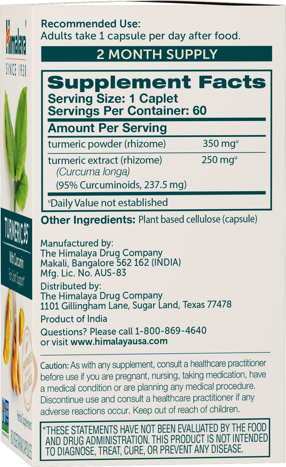 Turmeric 95 Supplement with Curcumin/Curcuminoids, Joint and Muscle Support, Optimum Flexibility and Mobility, 600 mg, Non-GMO, Vegan, Gluten Free, 60 Capsules, 60 Day Supply