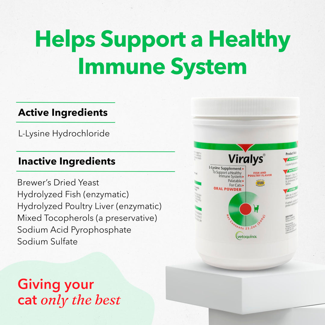 Viralys Daily L-Lysine Powder for Cats and Kittens, Fish Flavored Lysine Supplement for Cats and Kittens to Support Immune Health, Normal Eye Function and Respiratory Health, 600gm