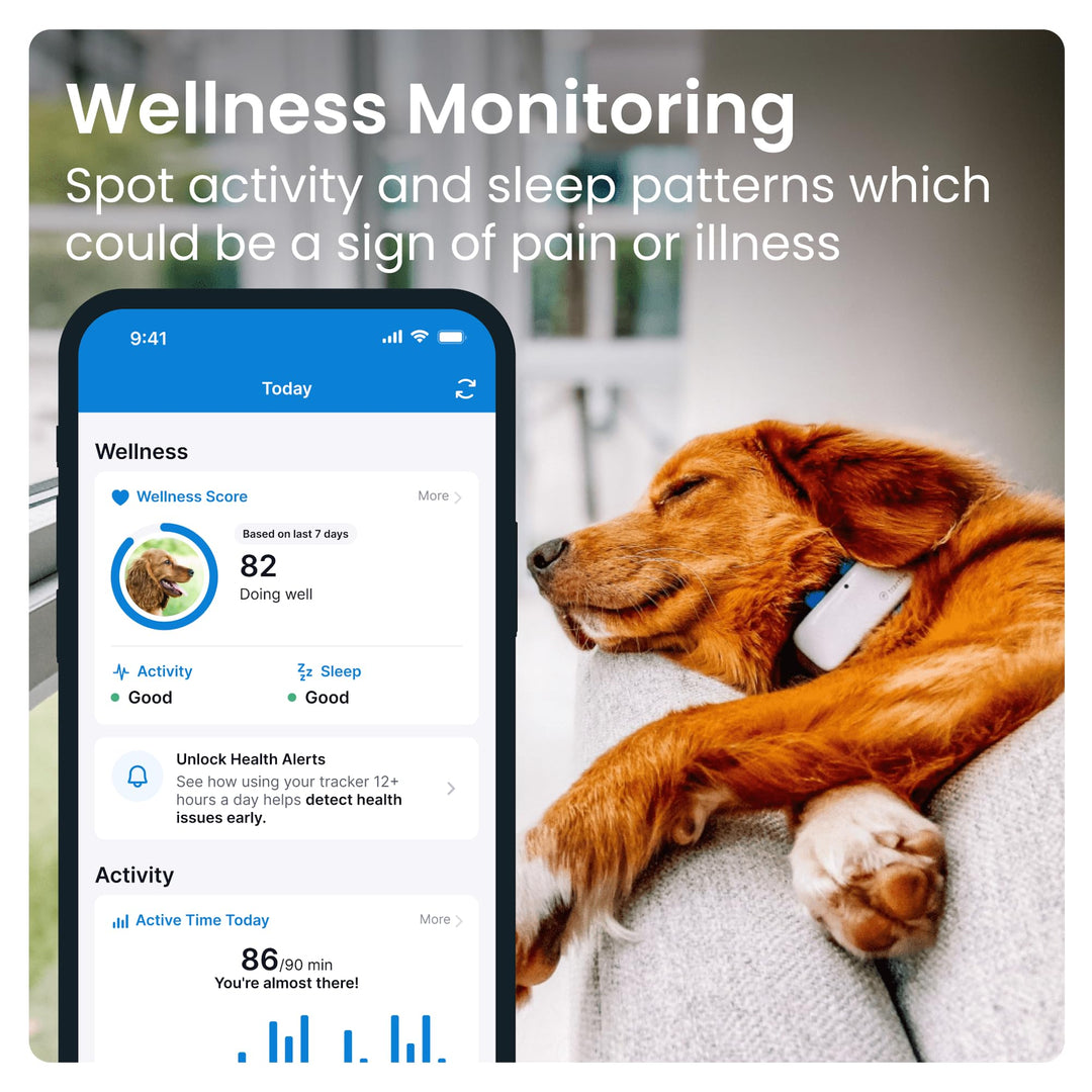 Tractive GPS Tracker & Health Monitoring for Dogs - Market Leading Pet GPS Location Tracker, Wellness & Escape Alerts, Waterproof, Works with Any Collar (Brown)