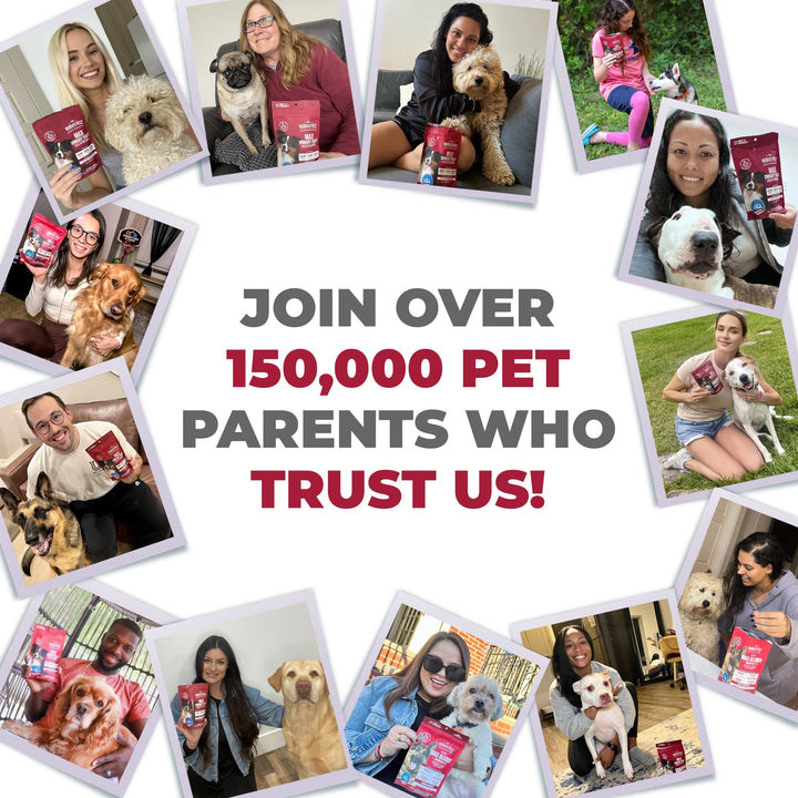 MAX Cranberry for Dog UTI Treatment - MAX Strength Cranberry Supplement for Dogs + D-Mannose. Bladder Control for Dogs. Urinary Tract Care & Kidney Support Chews