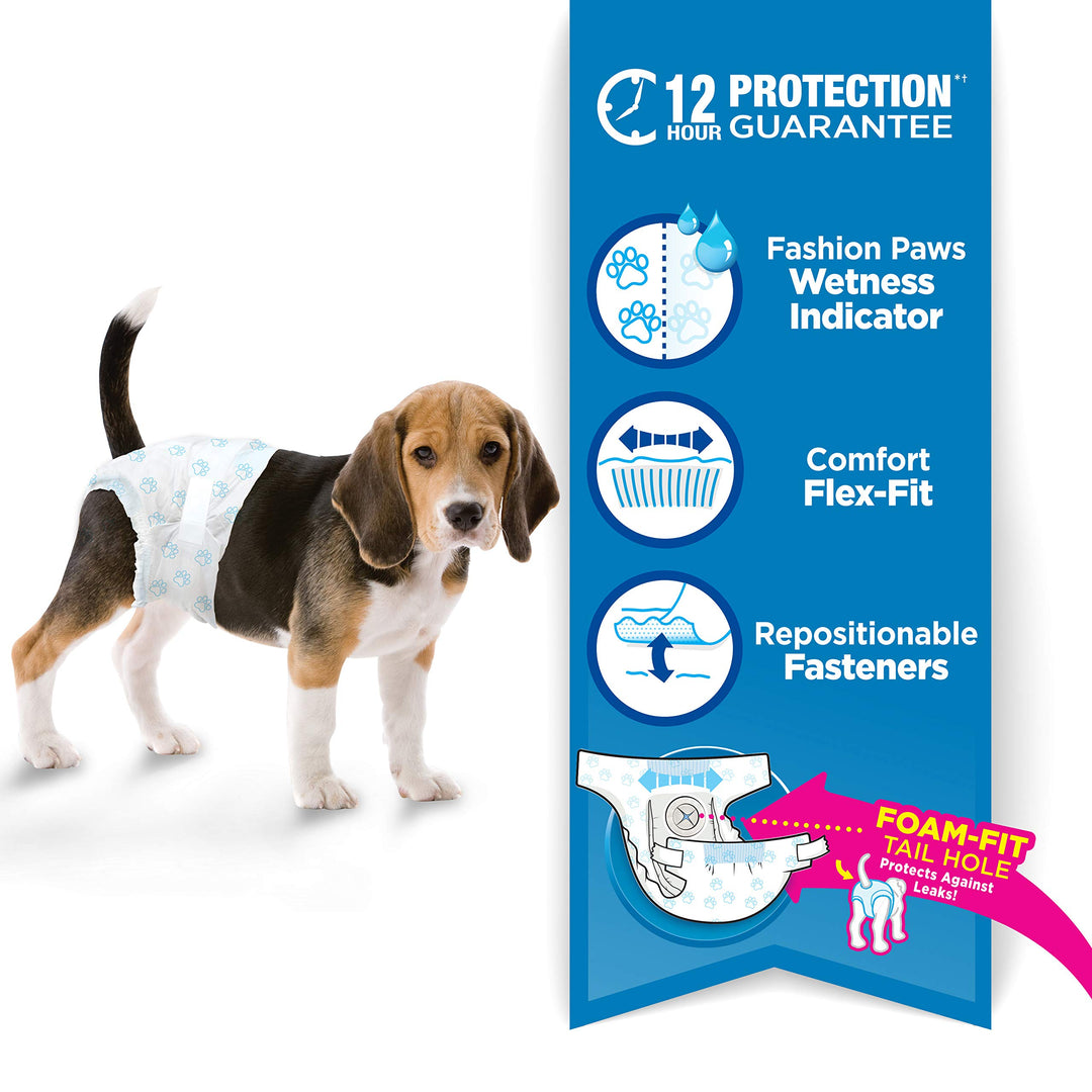 Wee-Wee Super Absorbent Disposable Adjustable Dog Potty Training Diapers, Leak-Proof Protection for Puppies and Medium Dogs, Extra Small, 12 Count