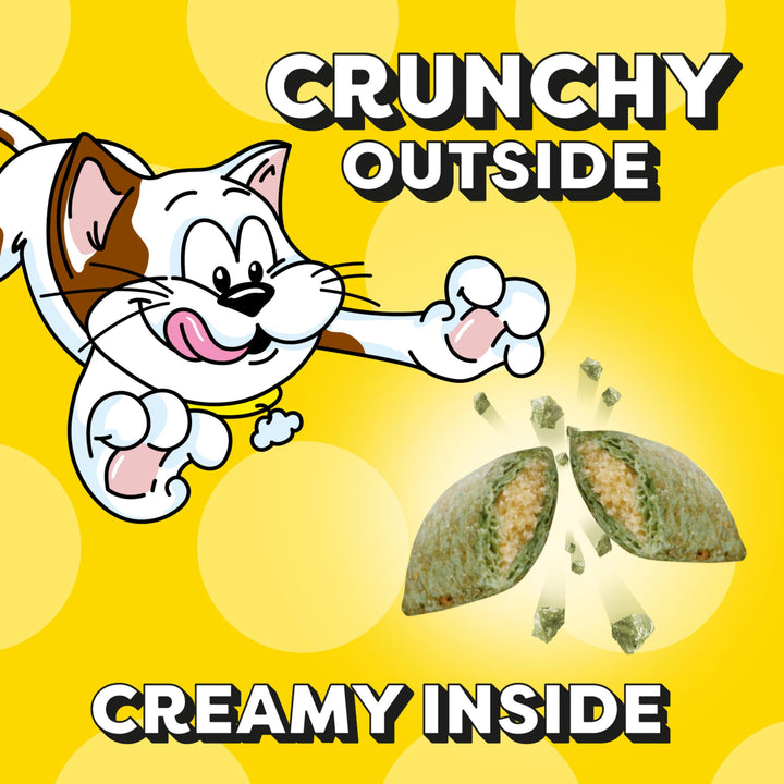 Classic Crunchy and Soft Cat Treats Blissful Catnip Flavor, 16 oz. Tub