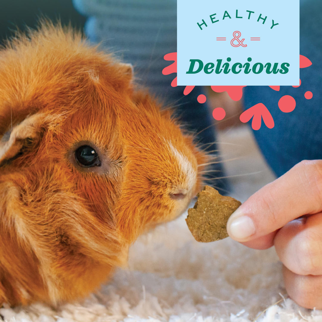 Animal Health Simple Rewards Veggie Treats, Carrots & Bell Pepper Guinea Pig & Bunny Treats, Pet Snack for Rabbit & Guinea Pig, Made with Hay, Alfalfa for Rabbit, 3 oz Bag