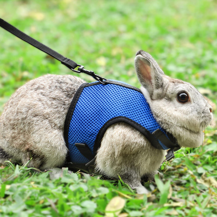 Bunny Rabbit Harness with Stretchy Leash Cute Adjustable Buckle Breathable Mesh Vest for Kitten Small Pets Walking (S(Chest:9.8-12.5 in), Blue)