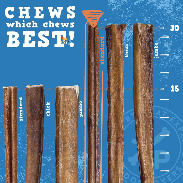 Jack&Pup Thick Bully Sticks | 12 Inch Bully Sticks for Large Dogs Aggressive Chewers | Single Ingredient, Odor Free, Long Lasting Dog Chews (10 Pack)