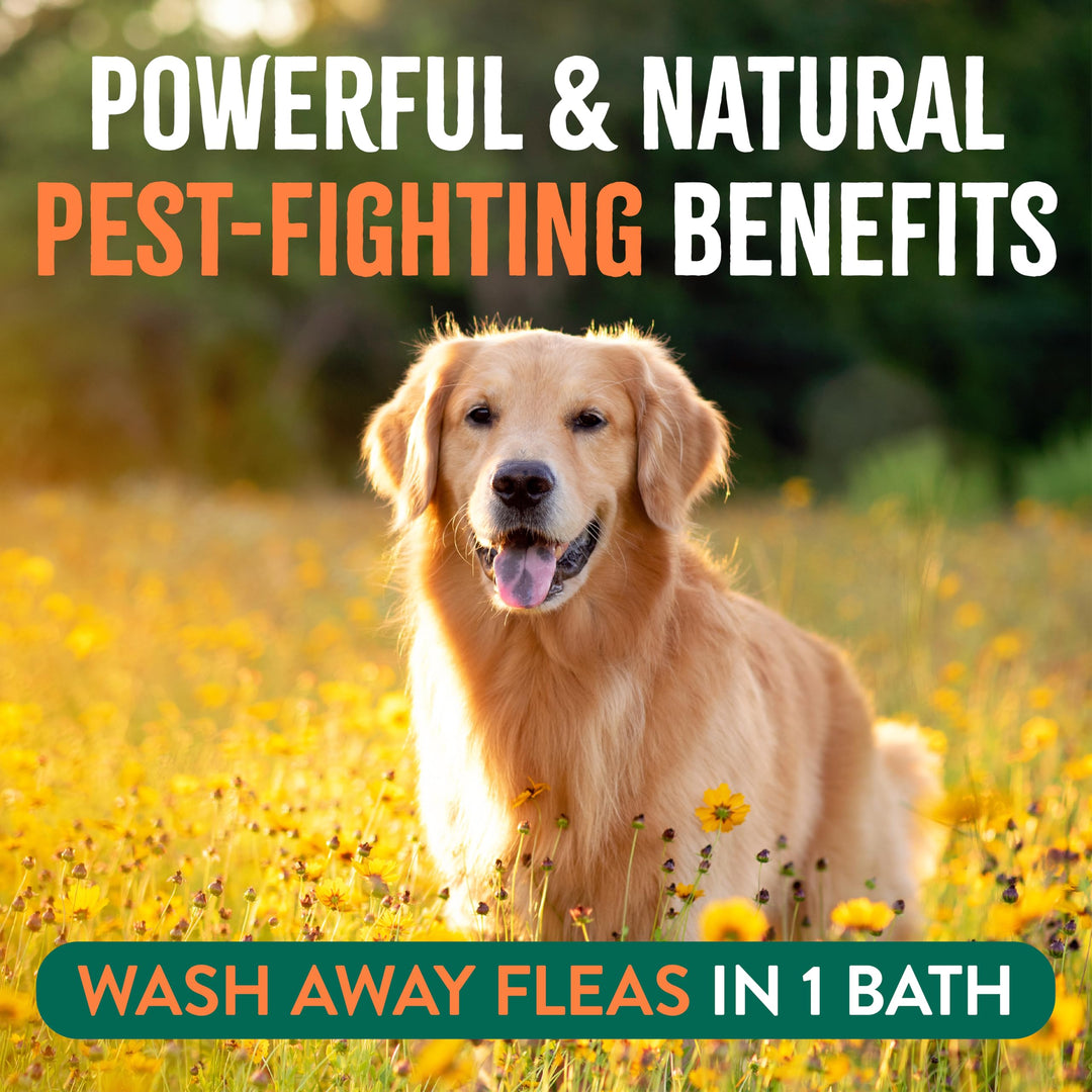 Max Strength Flea and Tick Shampoo Treatment for Dogs, Powerful & Natural Defense, Prevention for Large & Small Dogs, Made in USA, 20oz