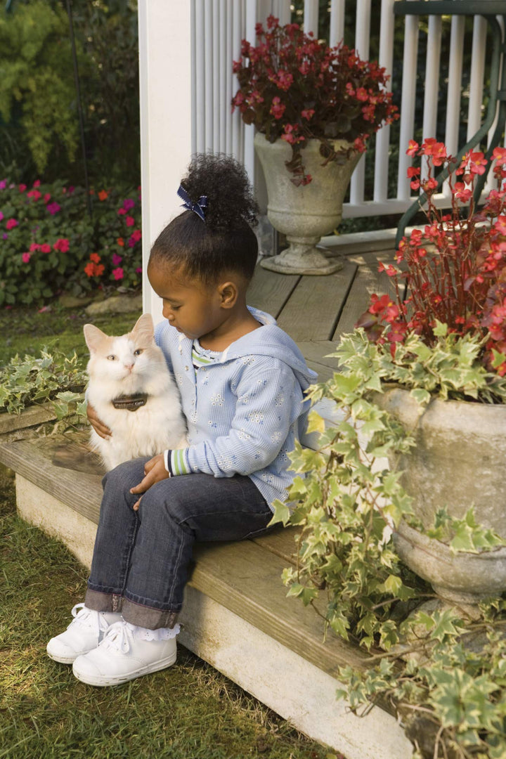 In-Ground Cat Fence Receiver Collar, Waterproof, Tone and Static Correction, Stretch-Section for Safety, for Cats Over 6 lb - from The Parent Company of Invisible Fence Brand