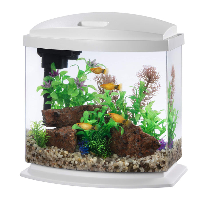 LED MiniBow Aquarium Kit with SmartClean Technology, White, 2.5 Gallon