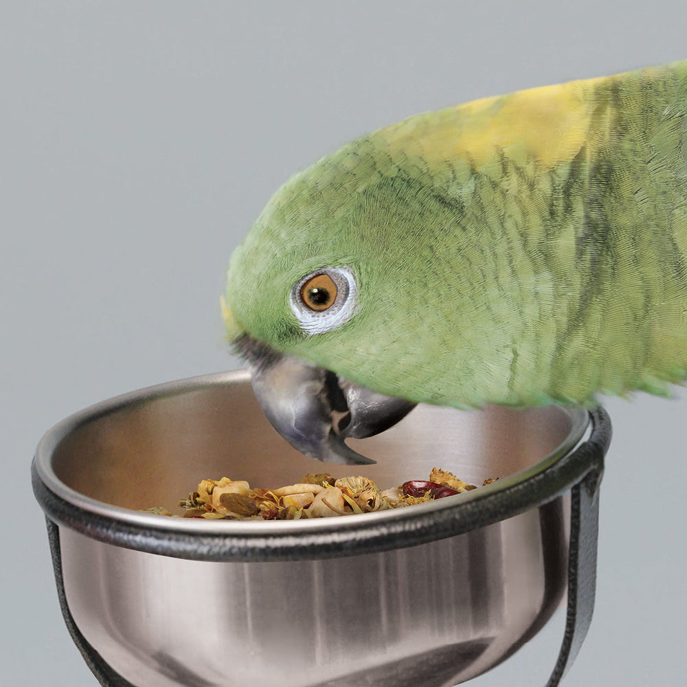 EZ Care Pet Bird T Stand 34 D x 54 H, Large