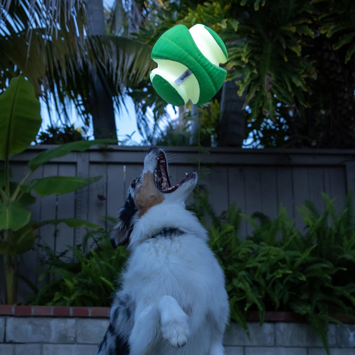 Kick Fetch Max Glow Ball, Large (8 Inch) Glow in the Dark Dog Toy