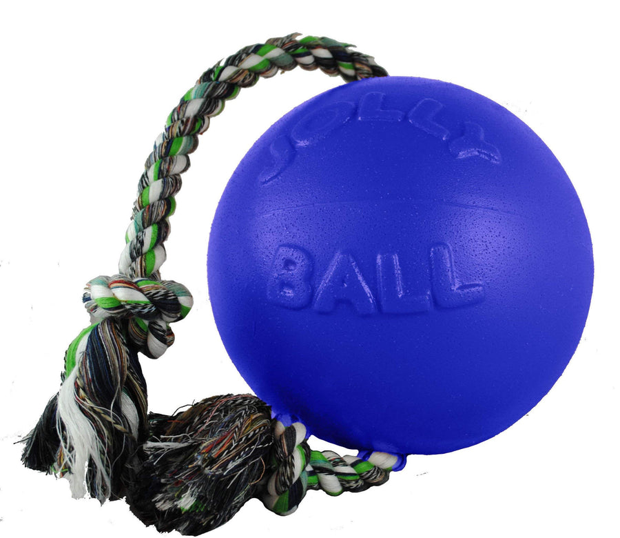 Romp-n-Roll Rope and Ball Dog Toy, 6 Inches/Medium, Blue