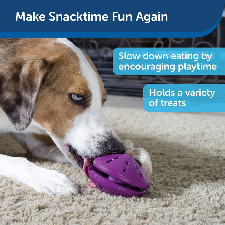 Busy Buddy Twist 'n Treat Dispensing Dog Toy - Large