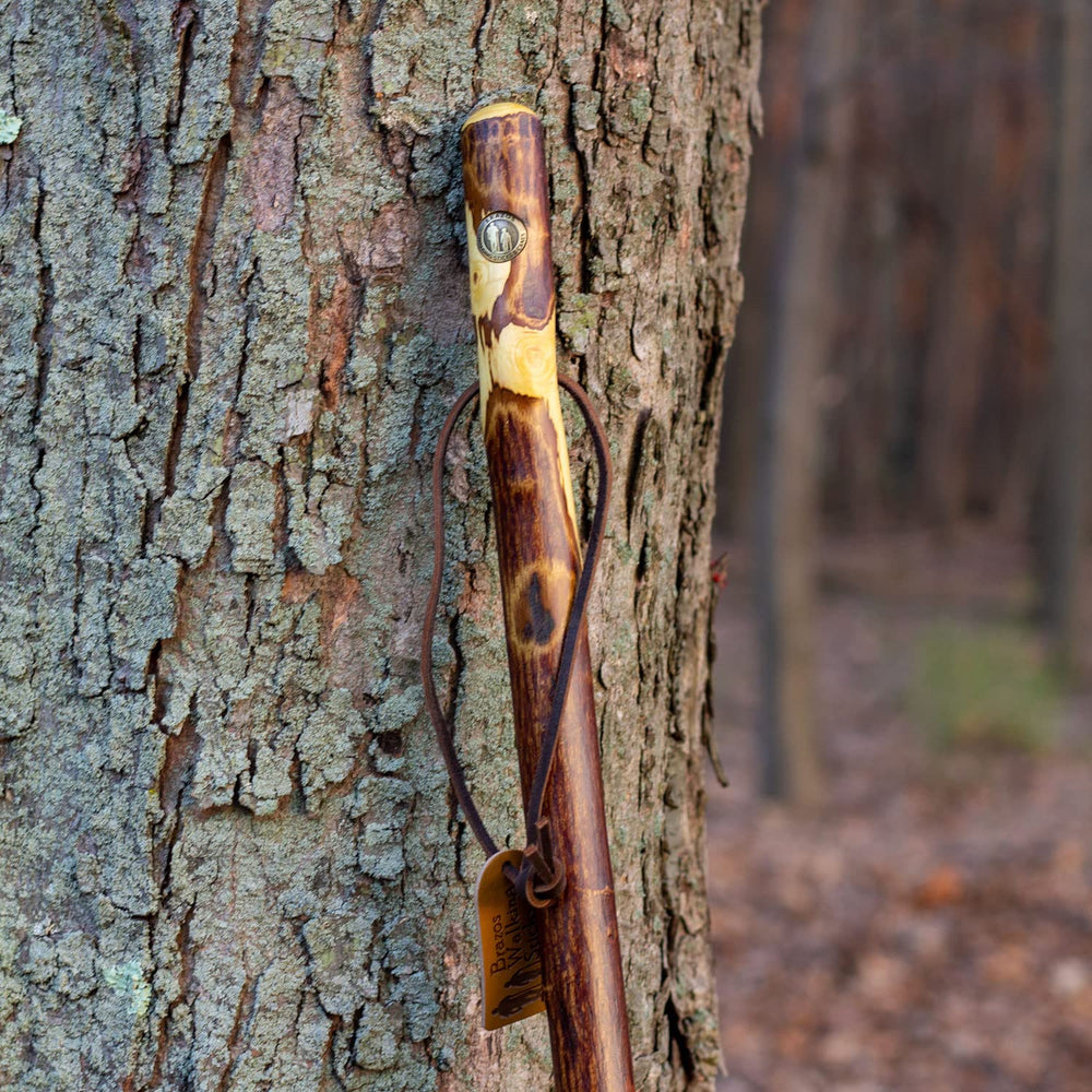 Free Form Hawthorn Wood Walking Stick Hiking Trekking Pole, 48 Inch, Made in the USA