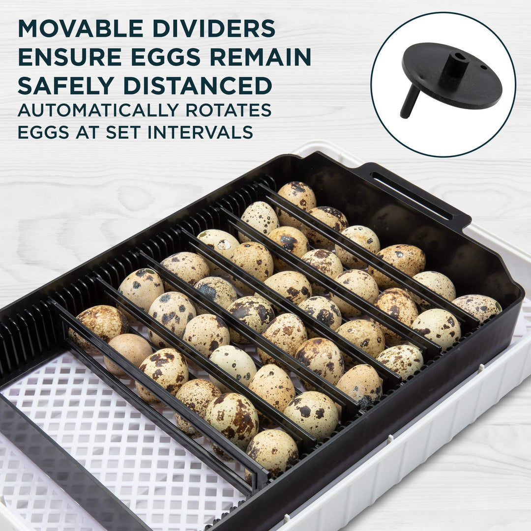 Clear Egg Incubator, Fully Automatic Digital Poultry Hatching Machine, Temperature Control & Automatic Egg Turner, LED Candler, Mini 12-35 Egg Incubator Breeder for Chicken, Ducks & More