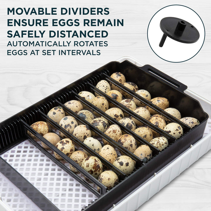 Clear Egg Incubator, Fully Automatic Digital Poultry Hatching Machine, Temperature Control & Automatic Egg Turner, LED Candler, Mini 12-35 Egg Incubator Breeder for Chicken, Ducks & More
