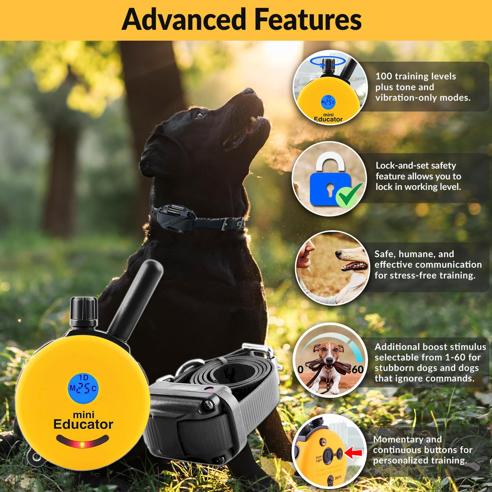 E-Collar Humane Dog Training Collar with Remote, 100 Safe Tapping Stimulation Levels, Night Light, Waterproof, Rechargeable, 1/2 Mile 2 Small-Medium Dogs, Yellow