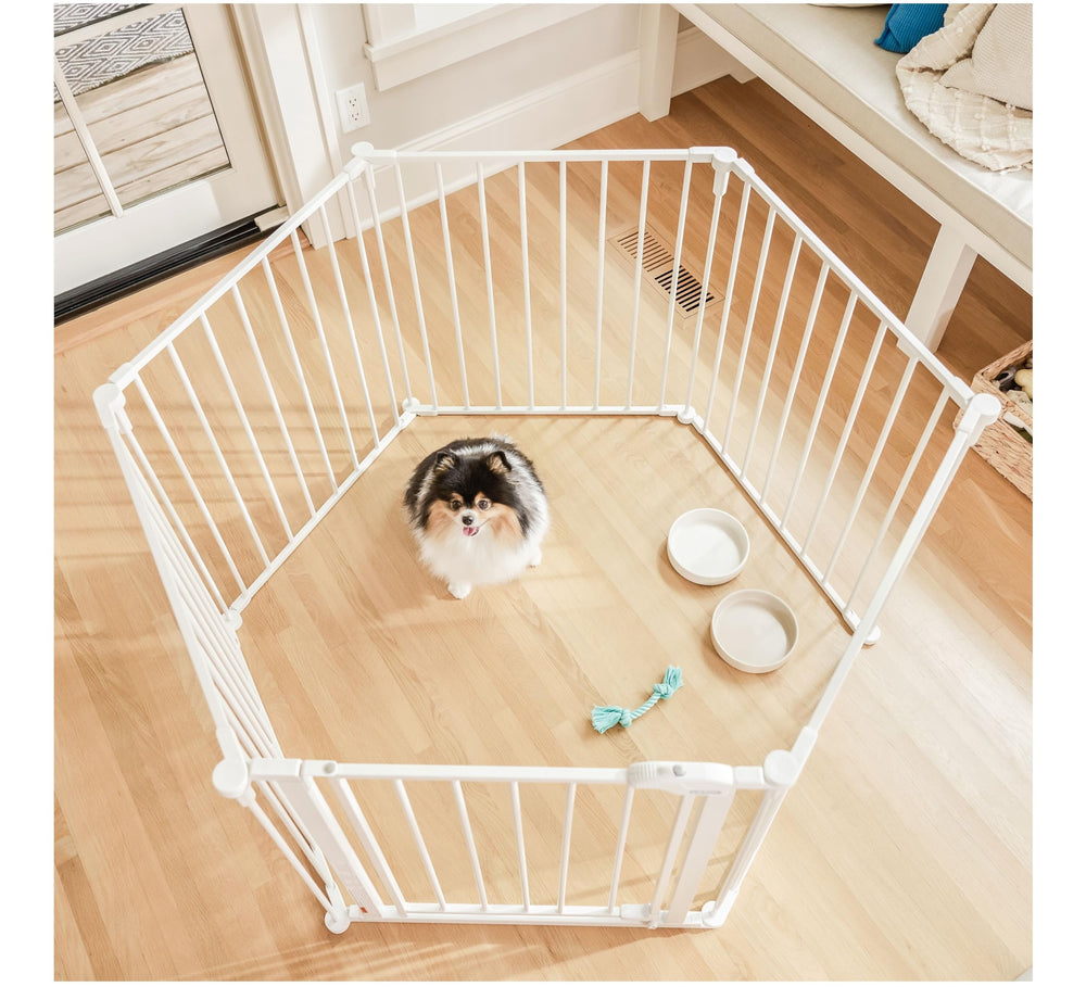 Carlson Pet Yard and Convertible Super Wide Gate