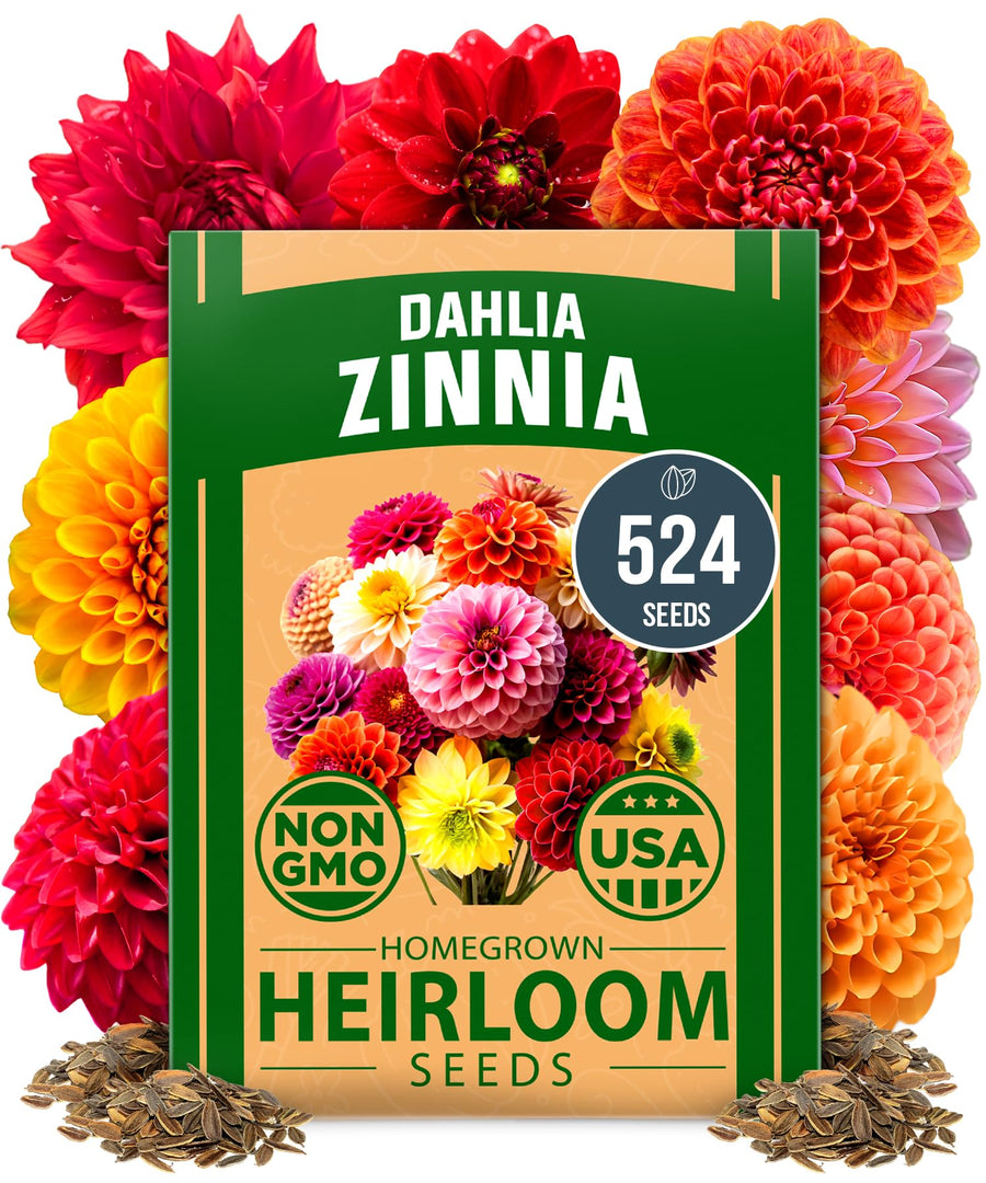 Zinnia Dahlia Seeds Pack for 2025 – 524 - Flower Seeds | Vibrant Zinnia Elegans for Pollinator Gardens, Borders & Containers | Easy-to-Grow Outdoor Blooms