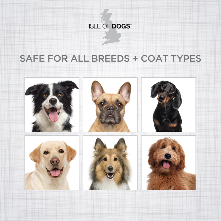 Keratin Volume Conditioner, 16 Ounce, MultiColor (830-16)