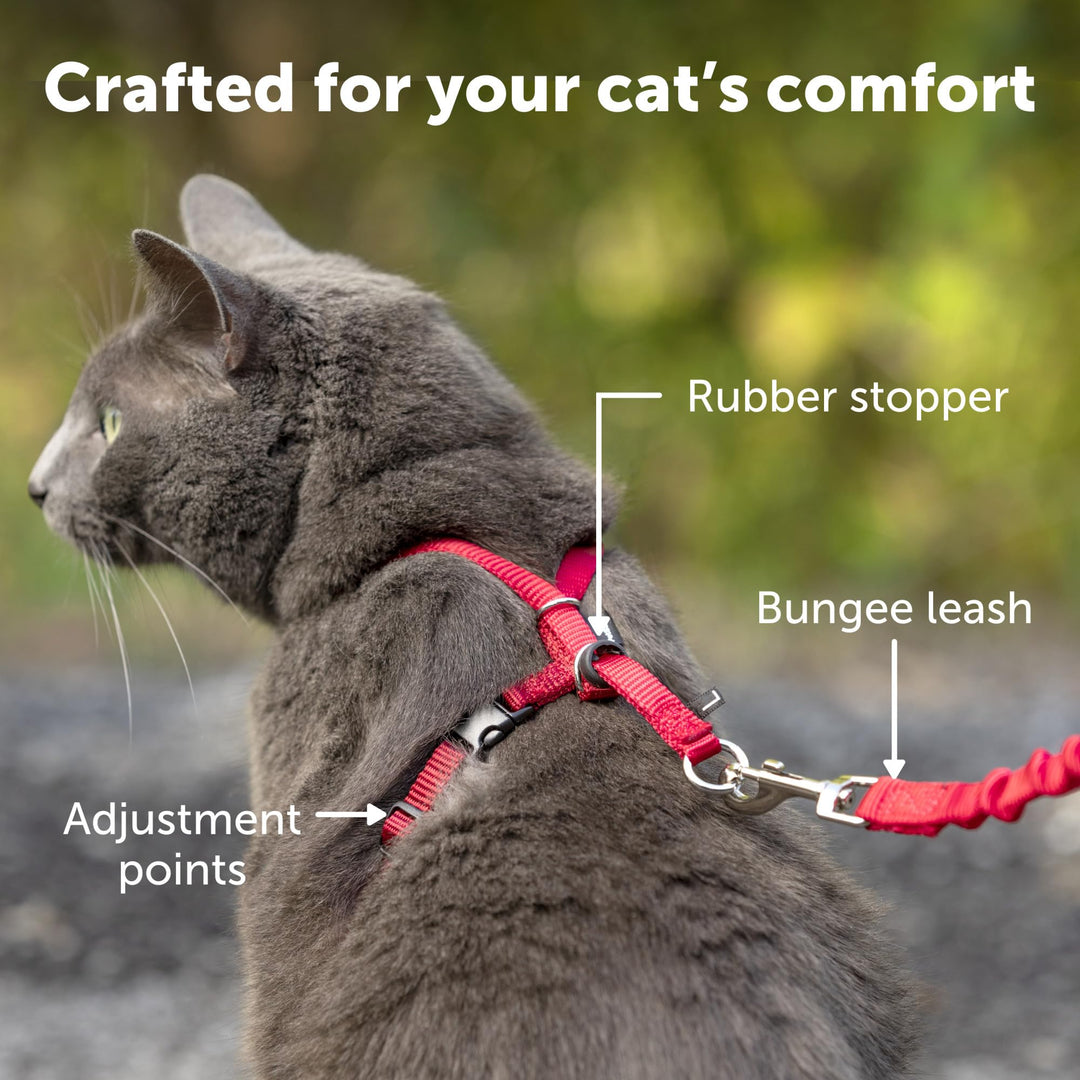 Come with Me Kitty Harness and Bungee Leash, Medium, Dusty Rose