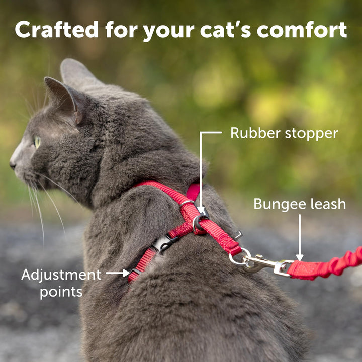 Come with Me Kitty Harness and Bungee Leash, Medium, Dusty Rose