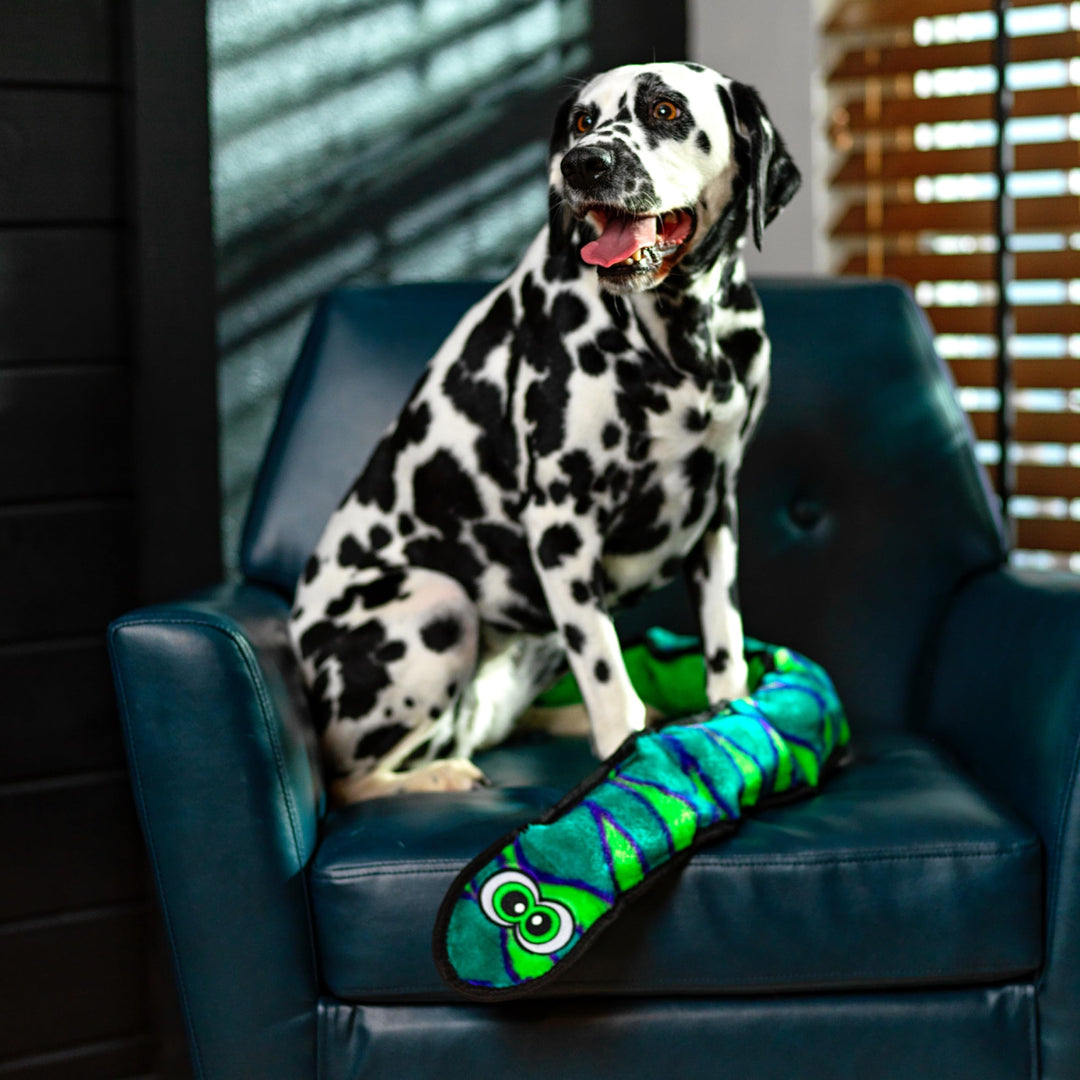 Durablez Tough Plush Squeaky Dog Toy, Snake, Blue, XL