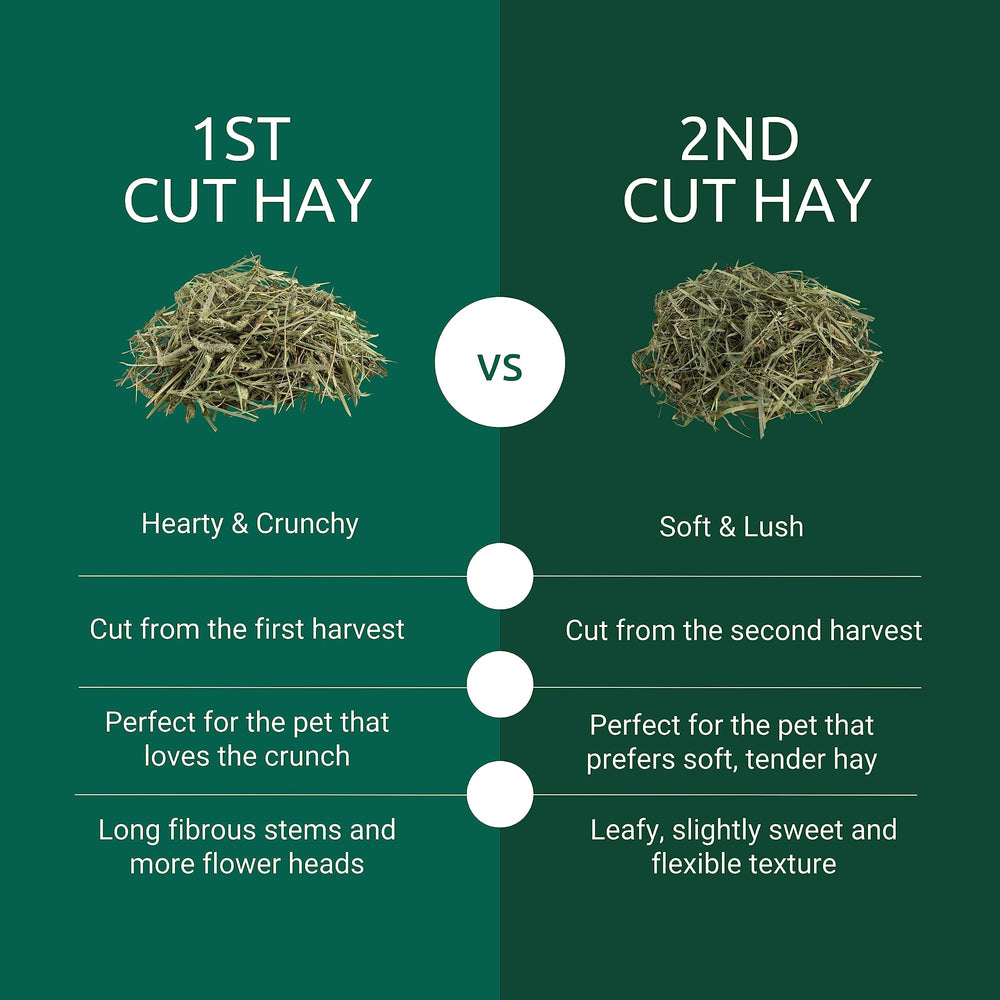 2nd Cut Soft and Lush Timothy Hay for Pet Guinea Pigs, Rabbits & Other Small Animals, 6.5 Pound