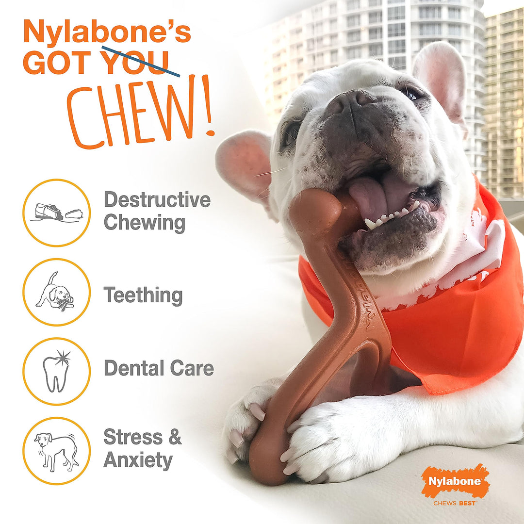 Original Bone Power Chew Toy for Dogs, Durable Dog Toys for Aggressive Chewers, Flavor Frenzy Funnel Cake & Shish Kabob Flavor, Large - Up to 50 lbs, 2 Pack