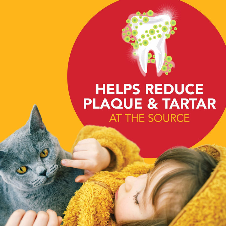 Dental Care Kit for Cats, Cat Toothbrush and Toothpaste, Cleans Teeth and Fights Bad Breath, Reduces Plaque Tartar Formation, Malt Flavor, 2.5oz Toothpaste + Toothbrush