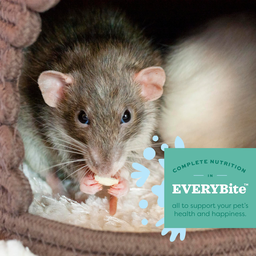 Essentials Adult Rat Food - All Natural Adult Rat Food - 10 lb.